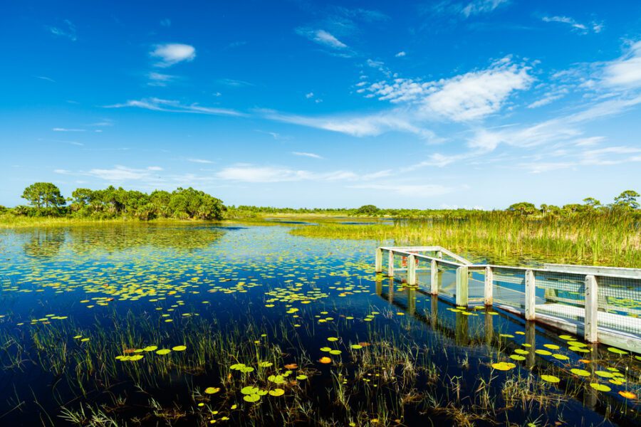 The Everglades, Florida