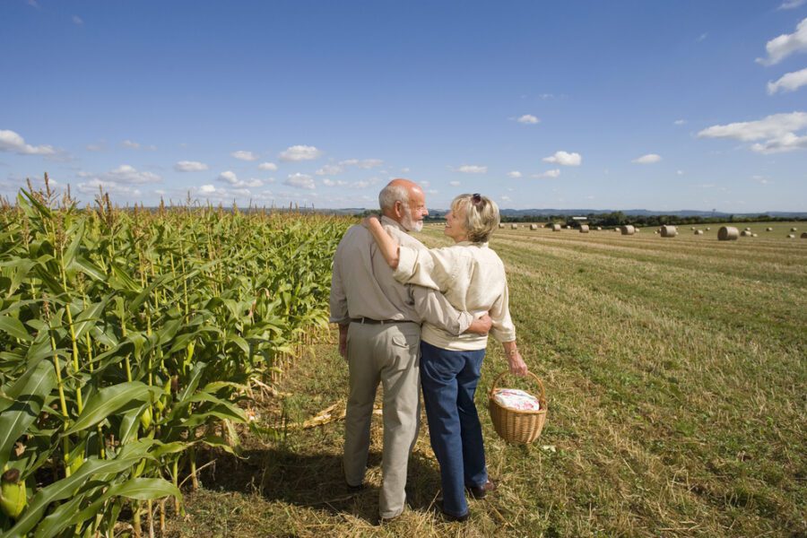 side jobs for seniors