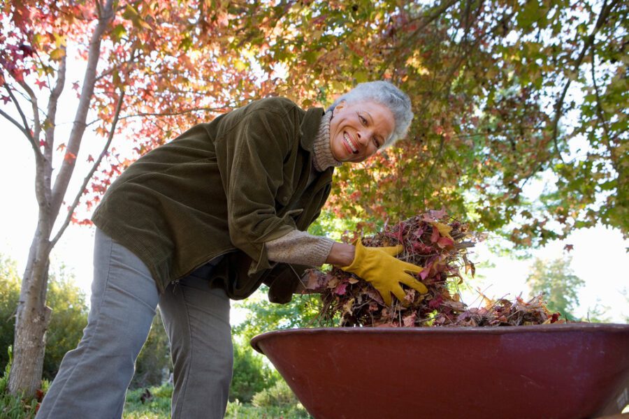 side jobs for seniors