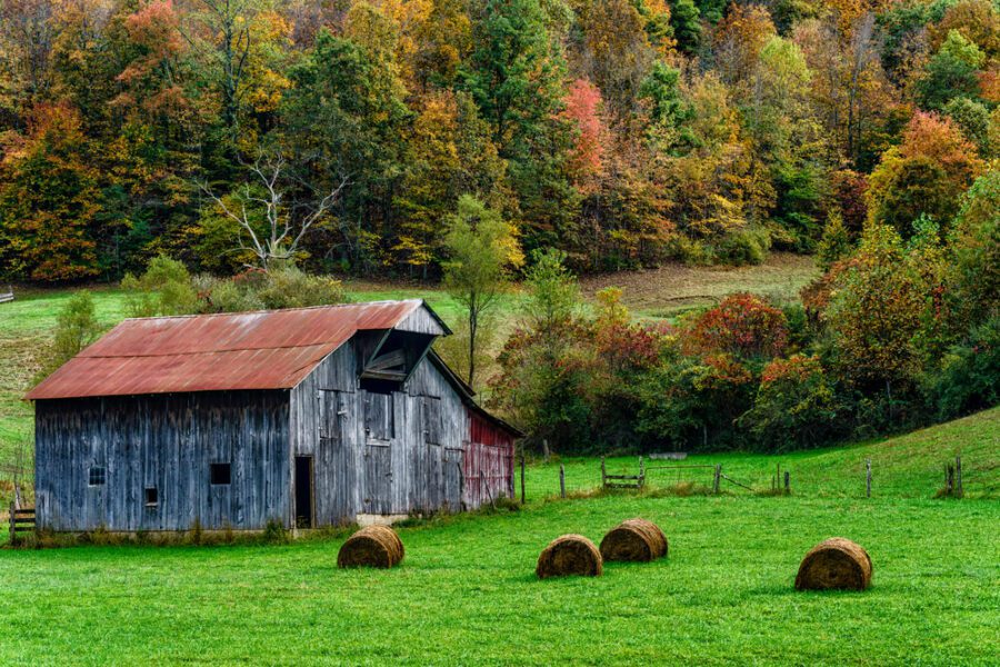 most depressed states