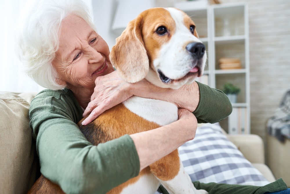 Dog Ownership In Retirement