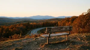 A scenic mountain overlook at sunset with a wooden bench in the foreground and a valley of autumn trees below.