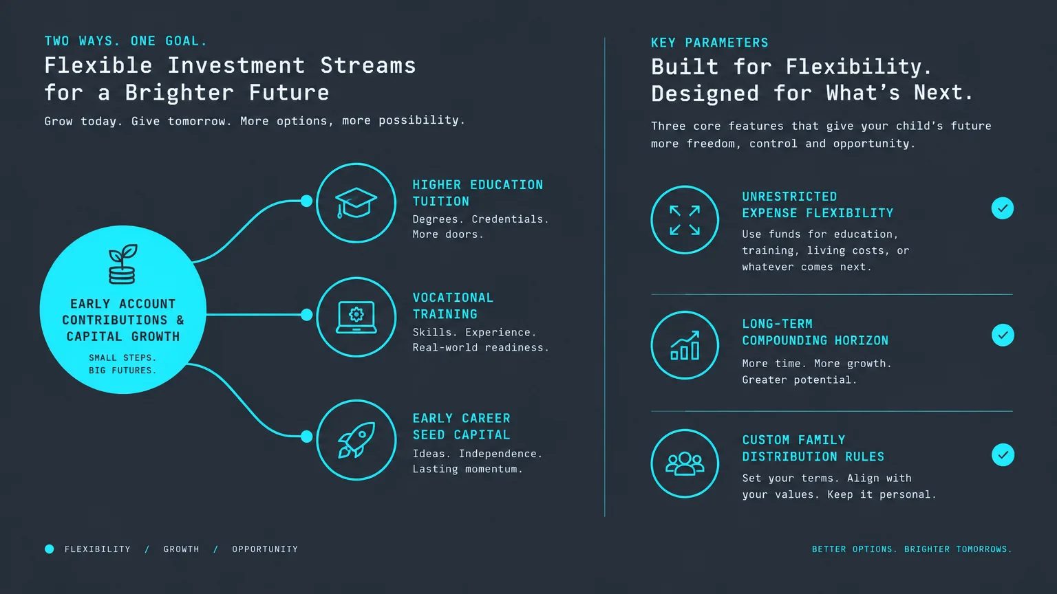 Infographic detailing flexible investment streams and key parameters for early account contributions and long-term growth.